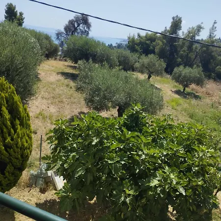 Platskos Vol3 Apartmán Kriopigi