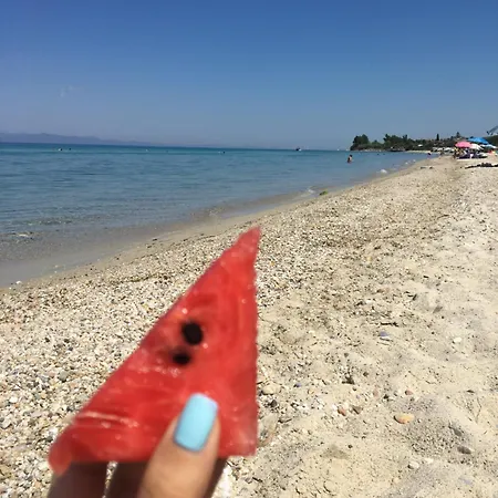 Platskos Vol3 Διαμέρισμα
