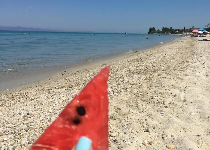 Platskos Vol3 Διαμέρισμα