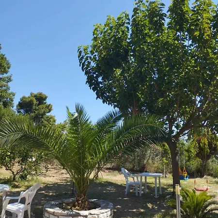 Apartament Platskos Vol3