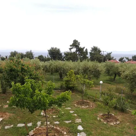 Platskos Vol3 Apartament