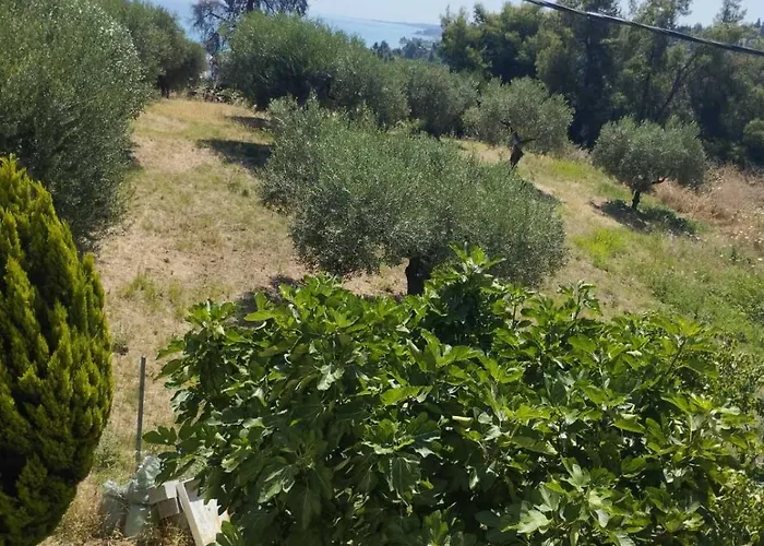 Platskos Vol3 Lägenhet Kryopigi