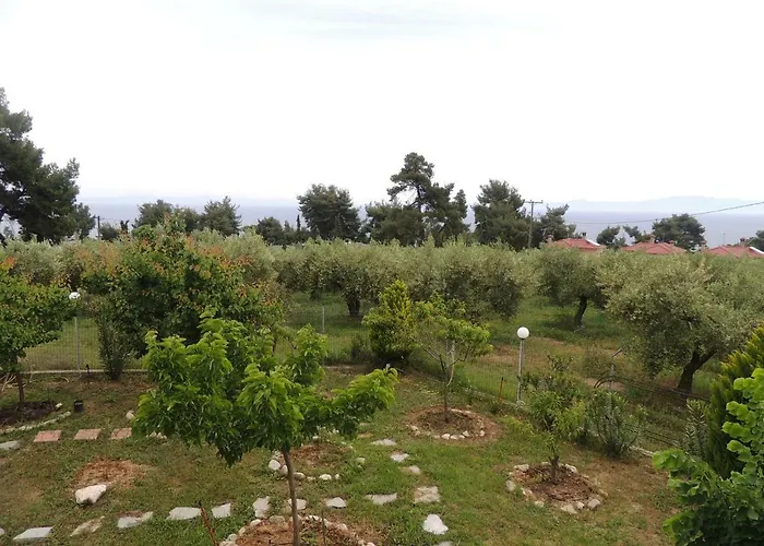 Platskos Vol3 Lägenhet