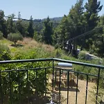 Platskos Vol3 *