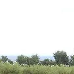 Platskos Vol3